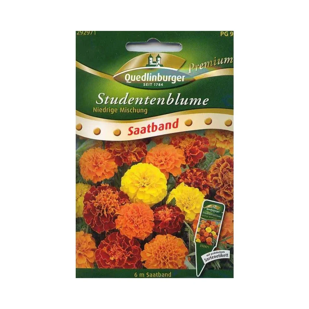 "Zaailint Tagetes, lage mix image"