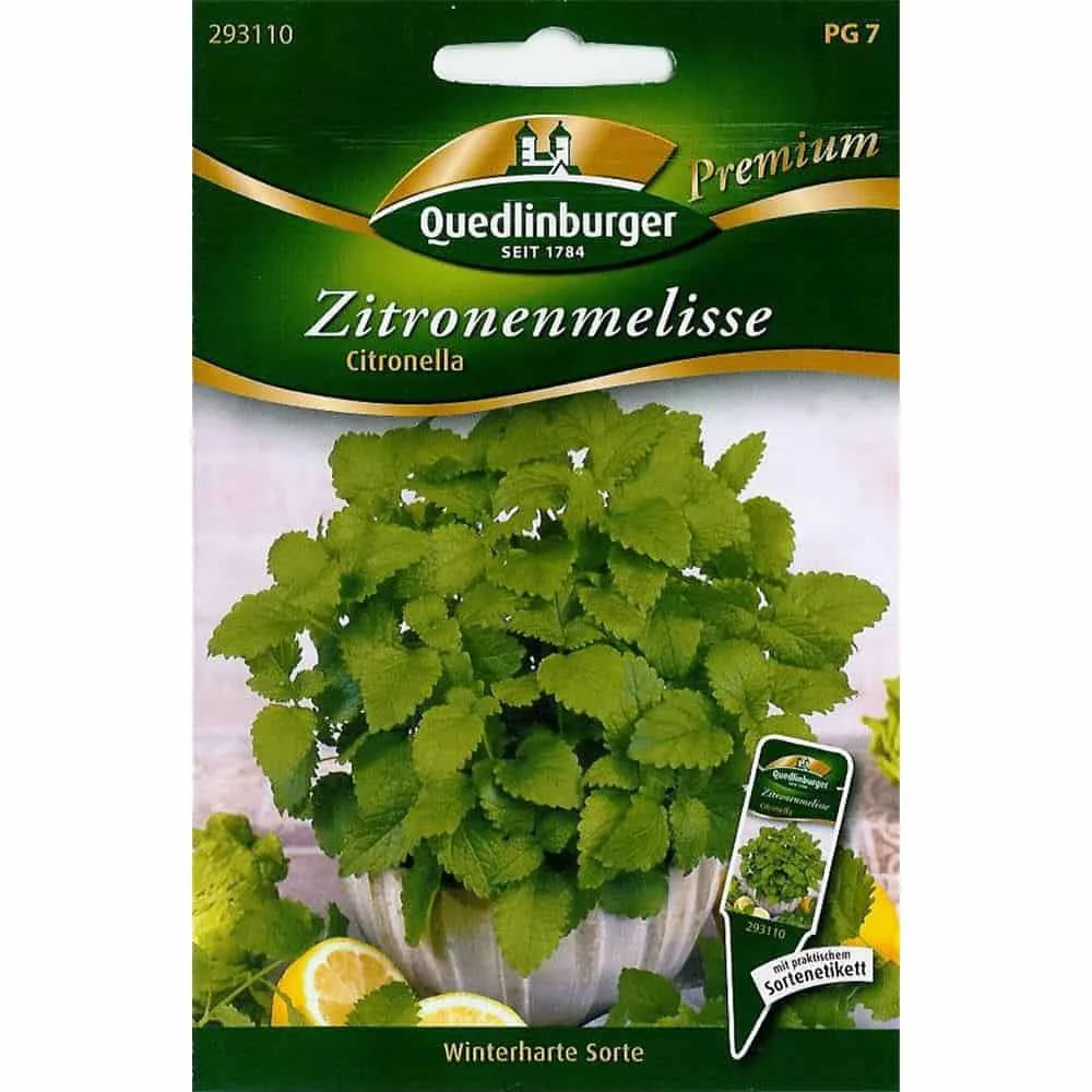 "Citroenmelisse Planten, Meerjarige Kruiden - Koop je Citronella! image"