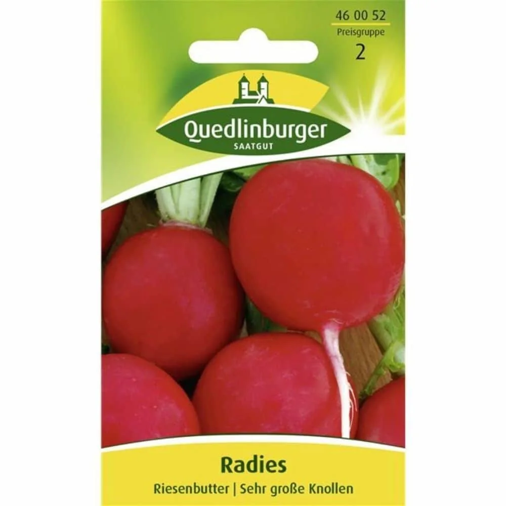 "Radijs Riesenbutter zaden: zelf kweken en zaaien image"