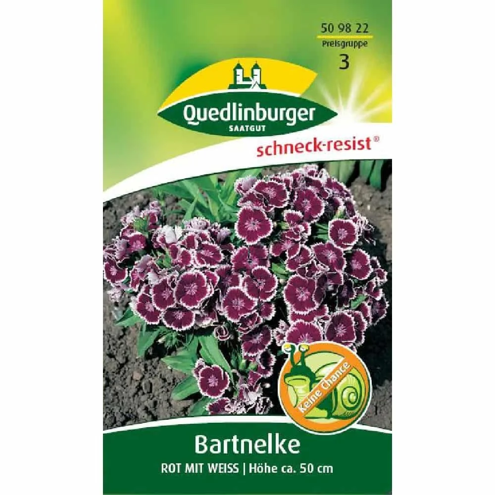 "Bartnelken Zaden: Tweejarige Rode & Witte Tuinanjers image"