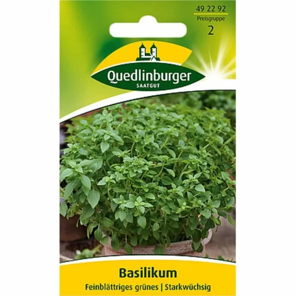 "Fijnbladige groene basilicum image"
