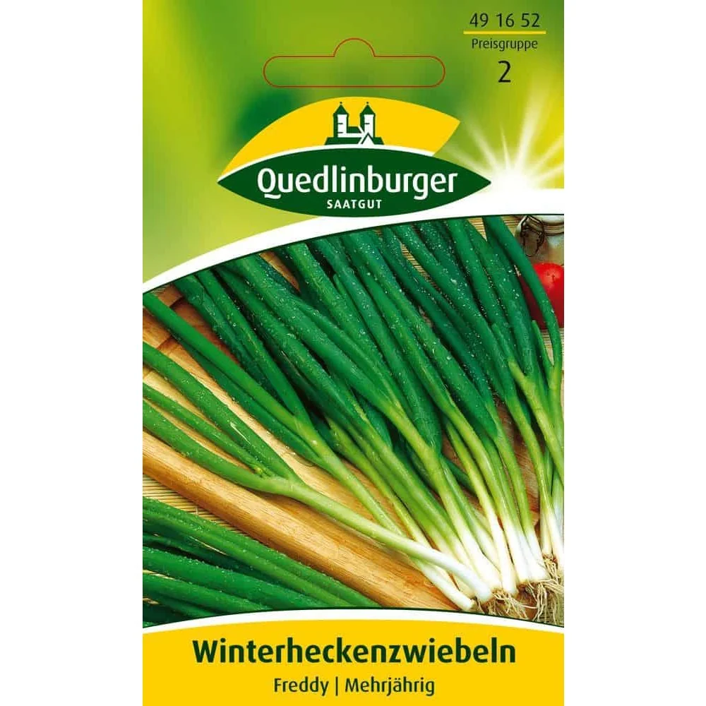"Winterheckenzwiebel Freddy: Meerjarige Schlotten voor de Winter image"