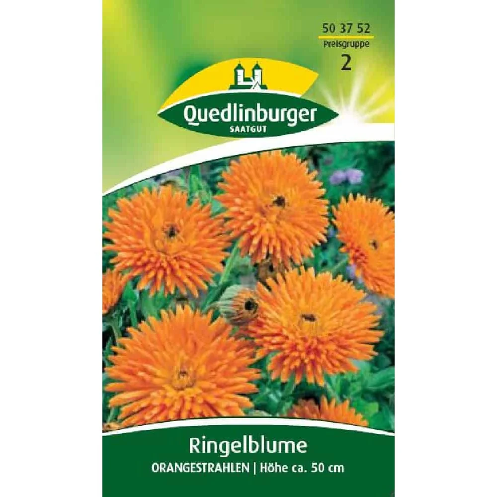 "Ringelbloem 'Orangestrahlen' zaden - Zomerbloemen voor de tuin image"