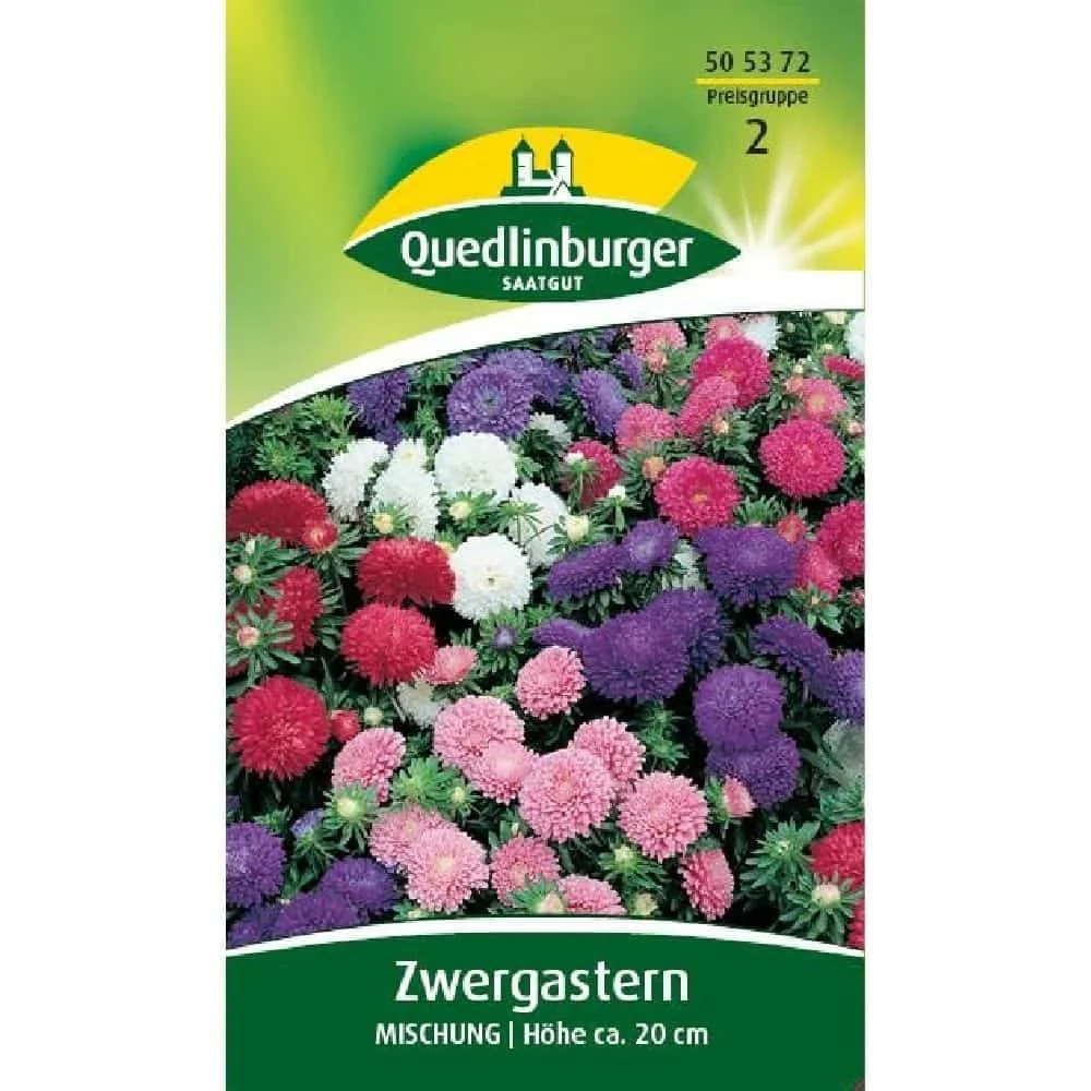 "Zwergaster Mix: Kleurrijke Zomerbloeiers voor Balkon & Tuin image"