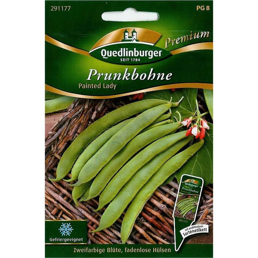 Prunkbohne Painted Lady