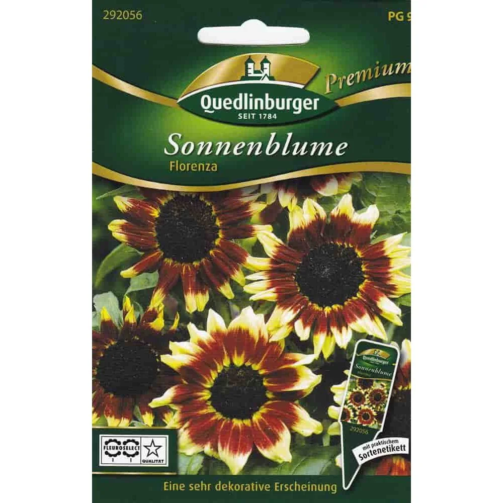 "Zonnebloem Florenza zaden kopen? Eénjarige snijbloem image"