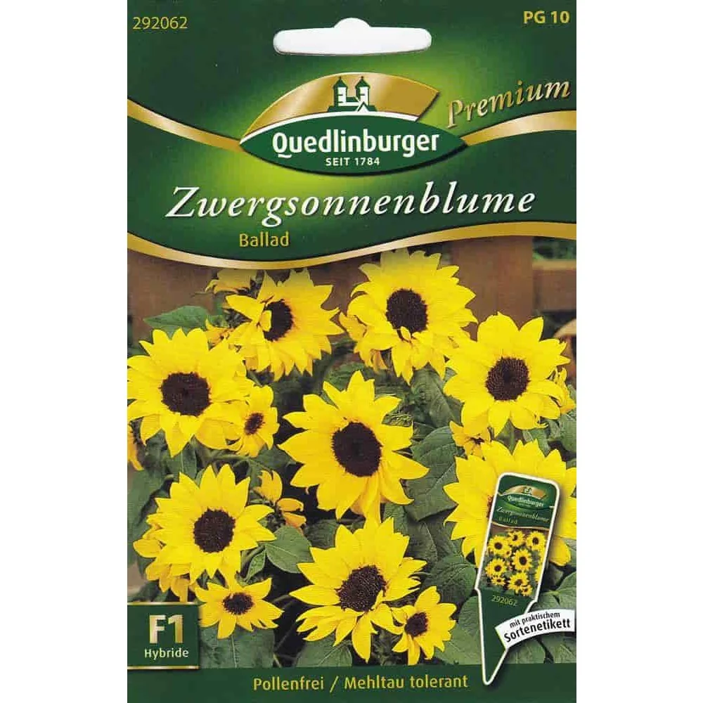 "Zwergsonnebloem Ballad F1 - Compacte Zonnebloem voor Balkon image"