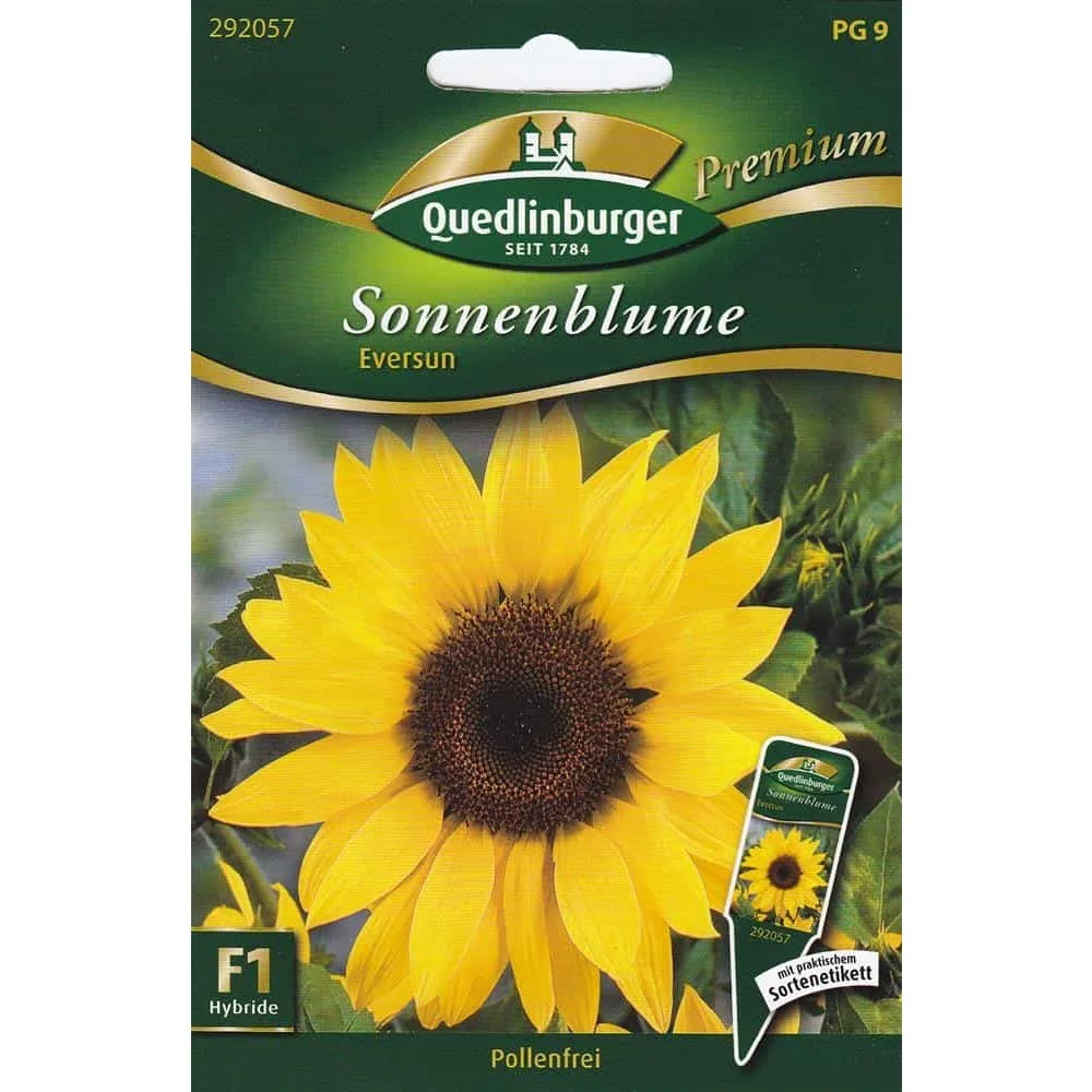 "Zonnebloem Eversun: Pollenvrij & Ideaal voor Snijbloemen image"