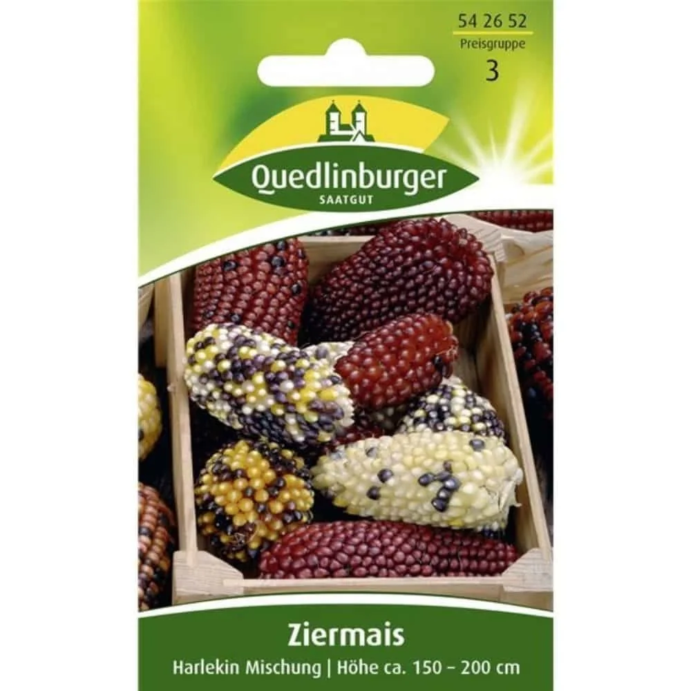 "Siermais 'Harlekin': Zaden voor een kleurrijke herfsttuin image"