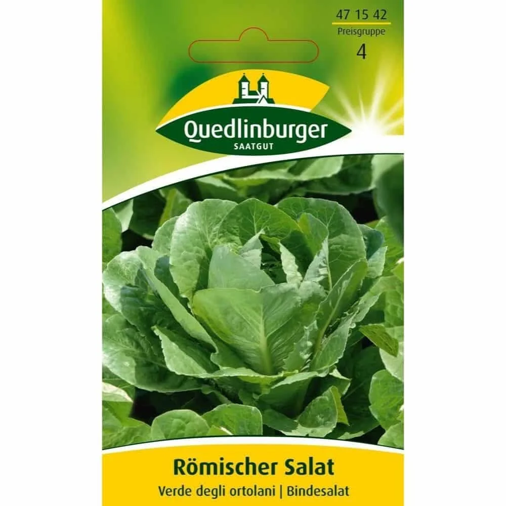 "Romeinse sla, Verde degli ortolani image"
