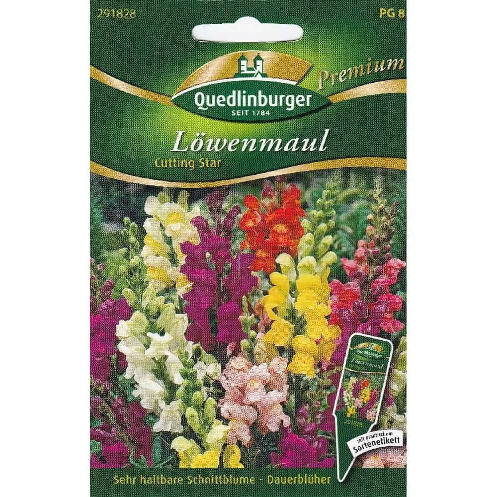"Leeuwenbek 'Cutting Star' Zaden - Kleurrijke Snijbloemen image"