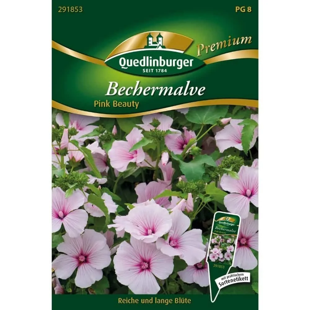 "Bechermalve Pink Beauty Kopen – Roze Malve Zaden Online image"