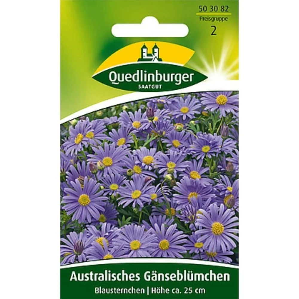 "Australische Madeliefje, Blauwsterretje image"