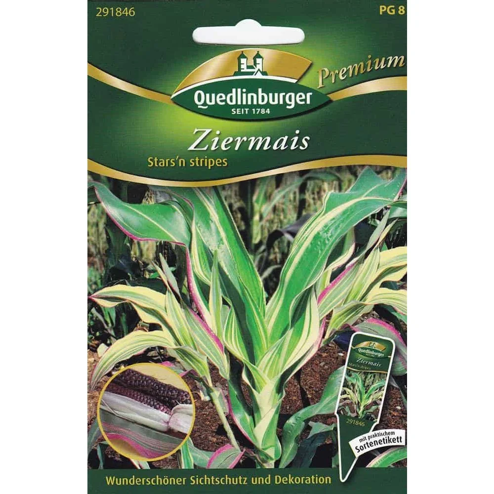 "Siermais 'Stars & Stripes' zaden voor decoratieve tuin image"