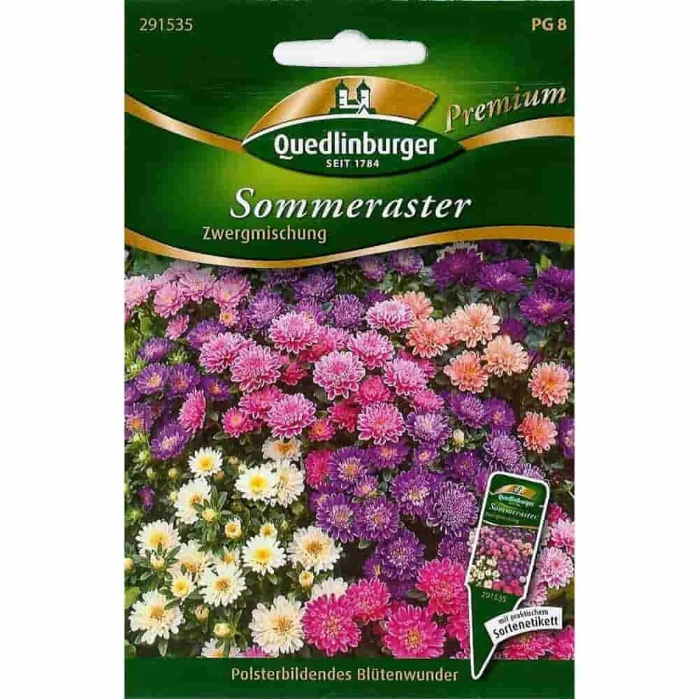 "Zomeraster Zaden - Dwergaster Mengsel voor Kleurrijke Bloemen image"