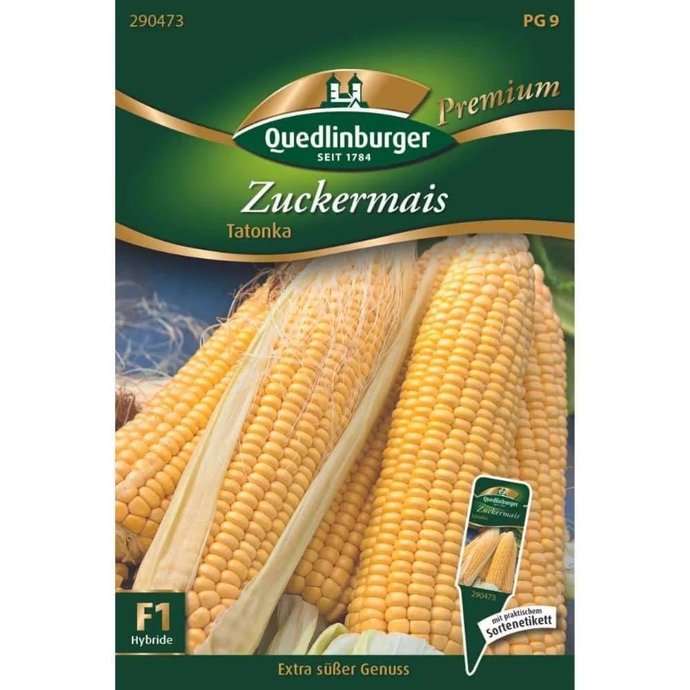 Suikermaïs Zaad voor Eigen Teelt & Oogst