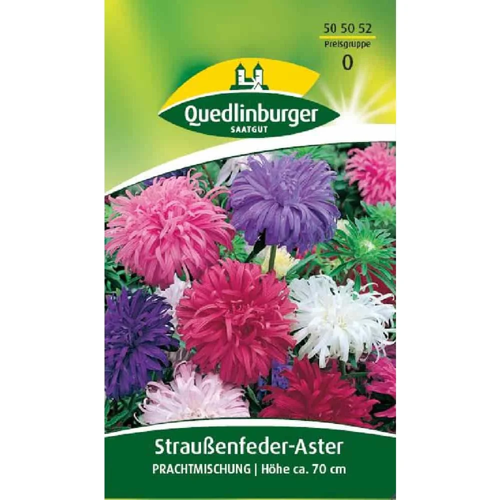 Straussenfederaster Zaden - Kleurrijke Bloemenzaden Mengsel