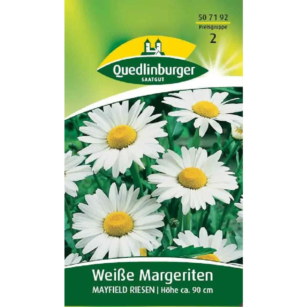 "Margrieten Kopen: Witte Margrieten 'Mayfield Riesen' image"