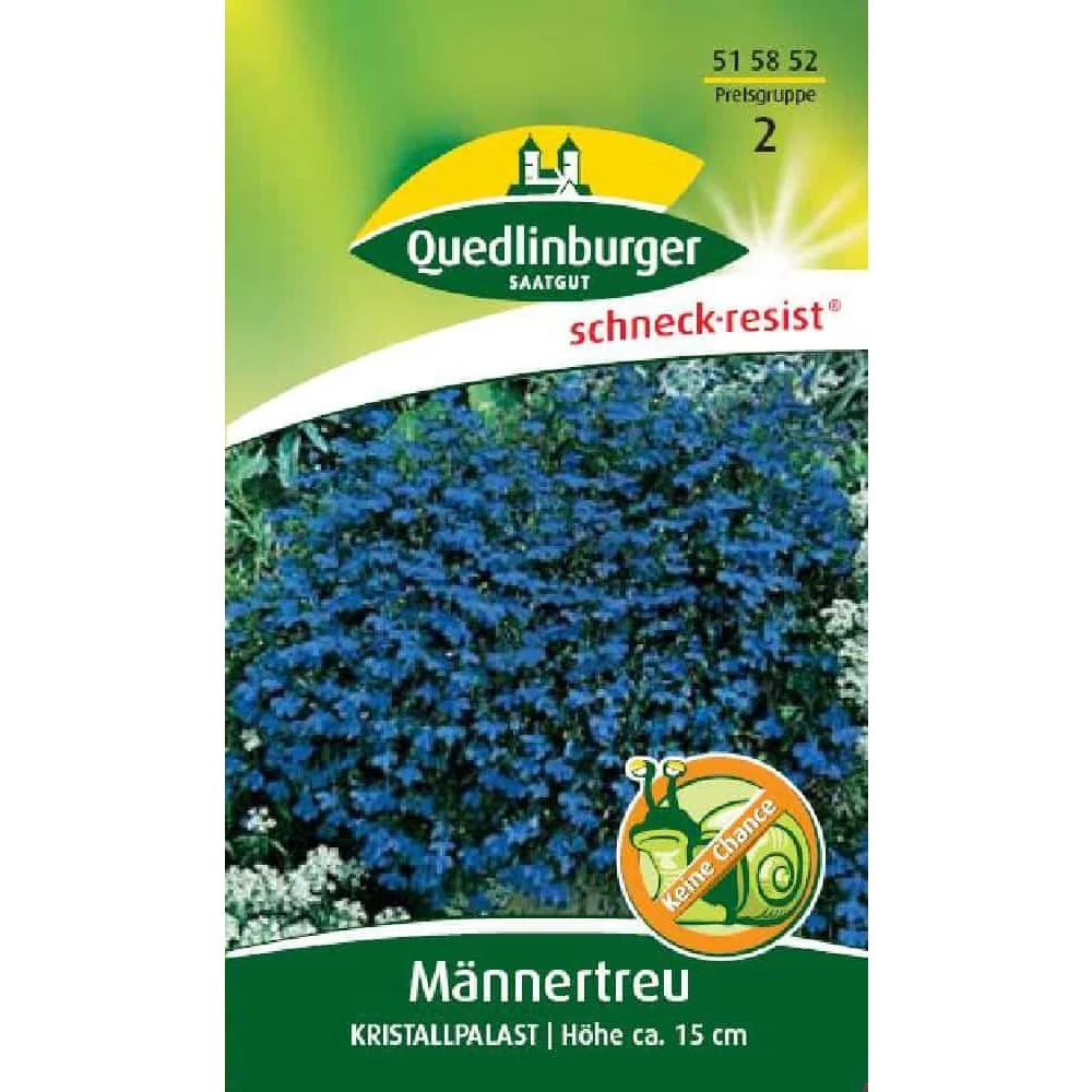 "Männertreu 'Kristallpalast' Kopen - Blauwe Lobelia Zomerbloem image"