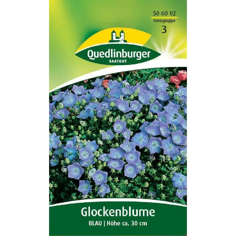 "Blauwe Klokjesbloem kopen - Campanula voor uw Tuin image"