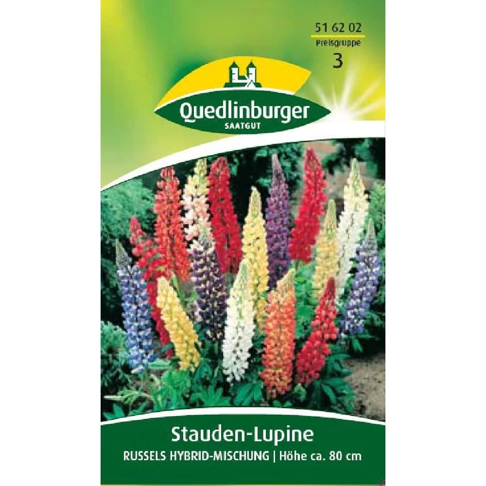 "Lupinen Kopen: Vaste Lupine Russells Hybride Mengsel voor uw Tuin image"