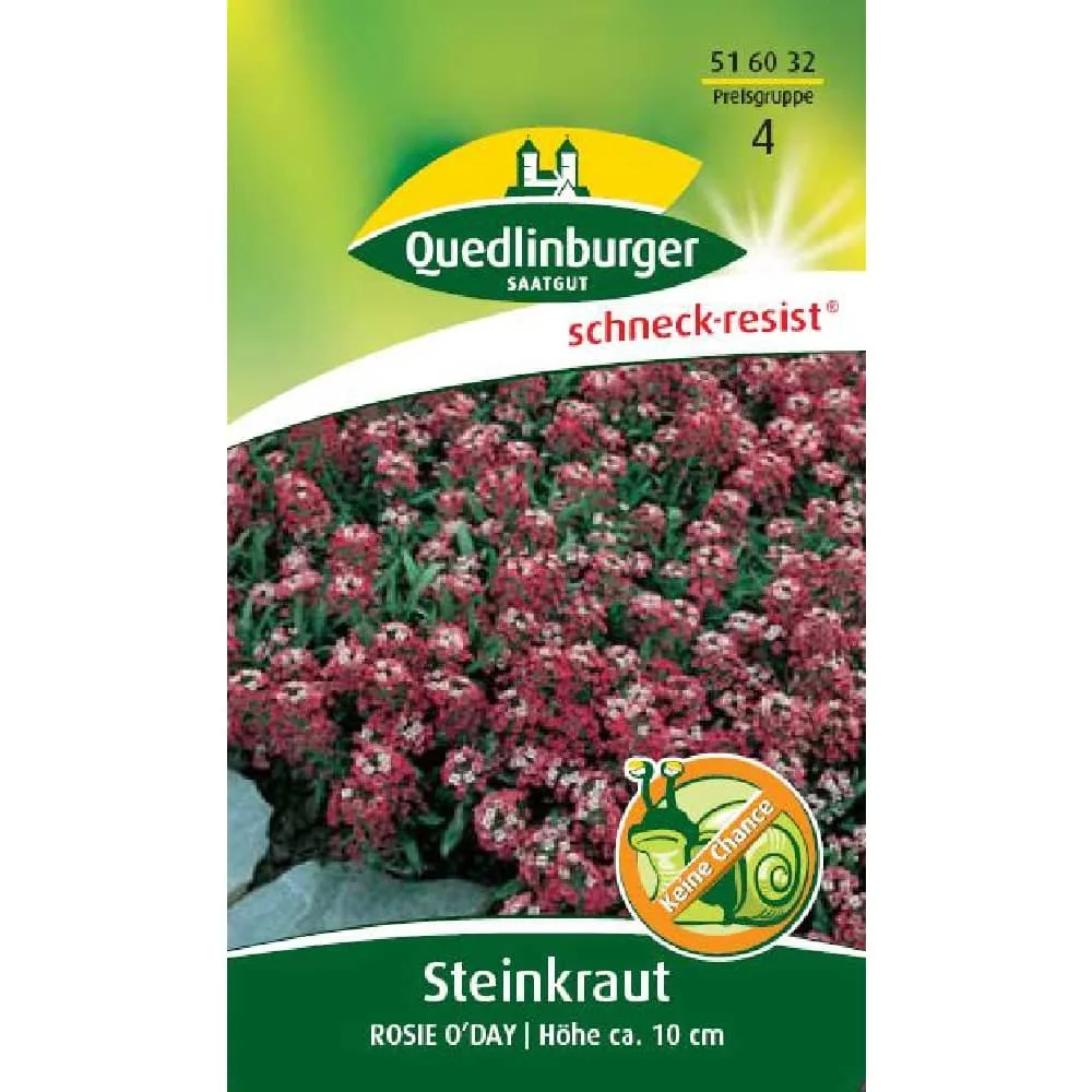 "Steenkruid, Rosie O'Day image"