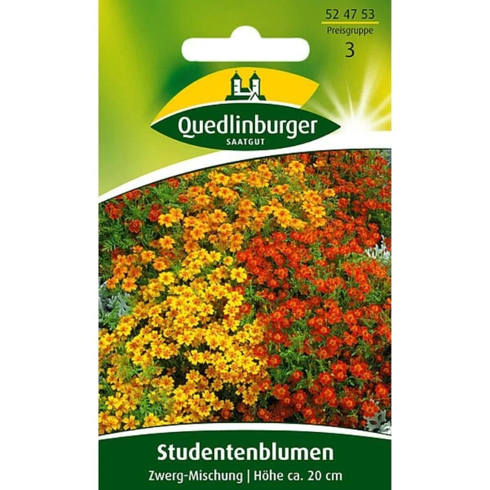 "Stinkende gouwe, Dwerge-Mengsel image"