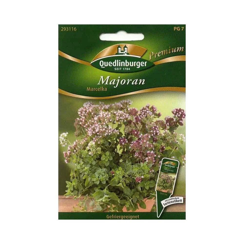 "Majoraan, Marcelka image"