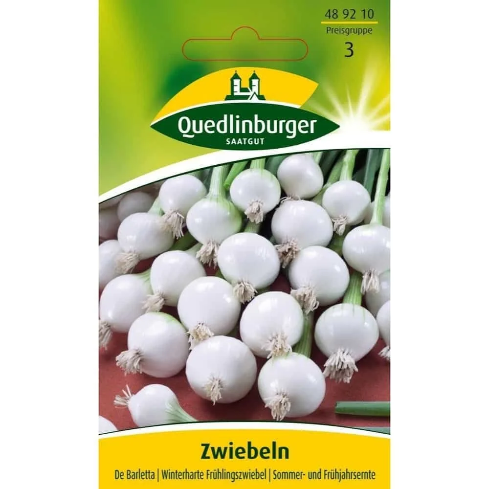 De Barletta Zwiebeln Kaufen: Winterhart & Silberweiß