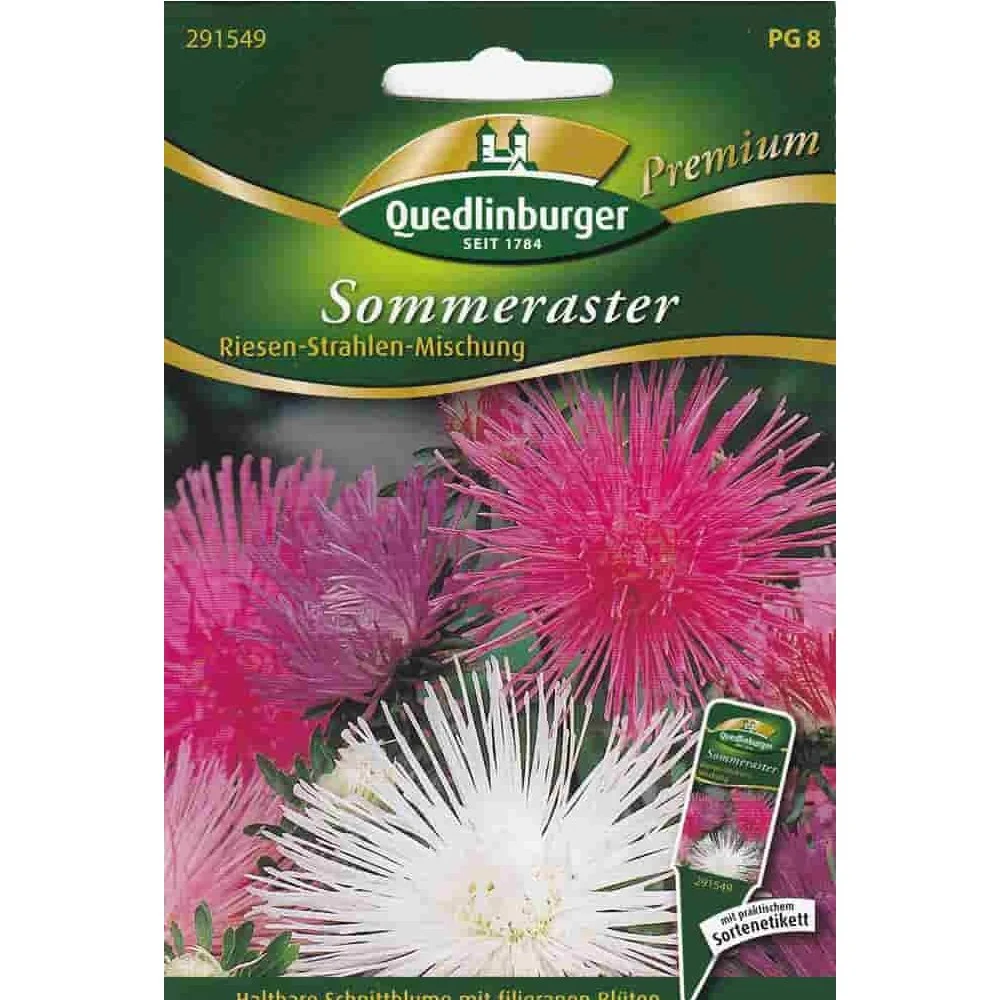 "Zomeraster Riesen Strahlen Mix – Bloemzaden voor Snijbloemen image"