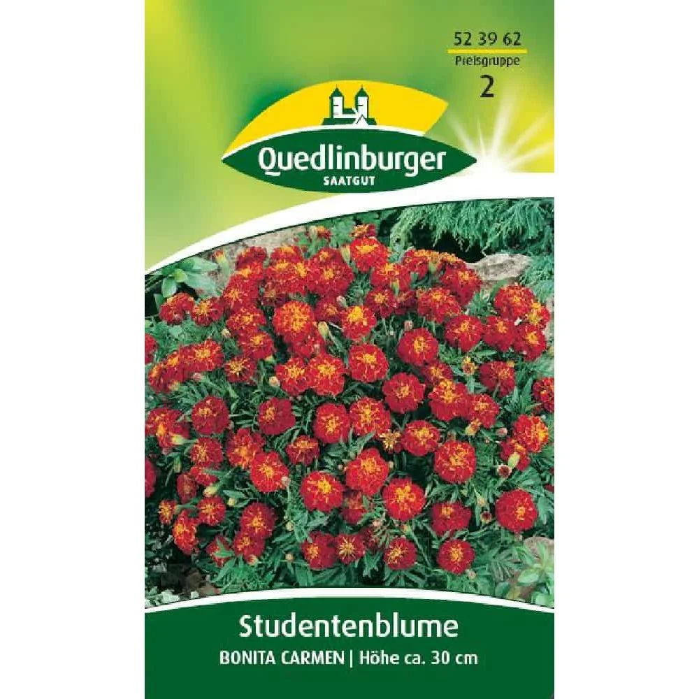 "Studentenbloem ta Carmen - Kleurrijke Aanwinst voor Tuin & Balkon image"