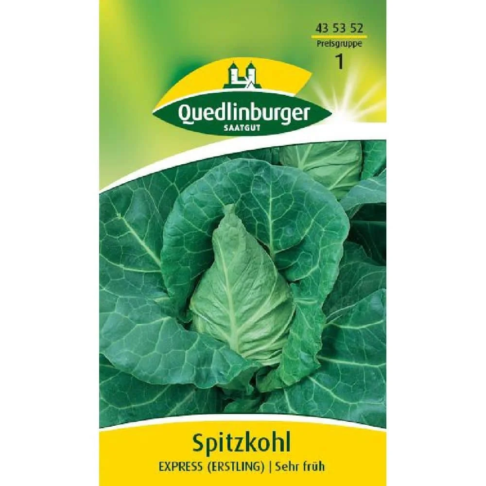 Spitzkohl Express Erstling