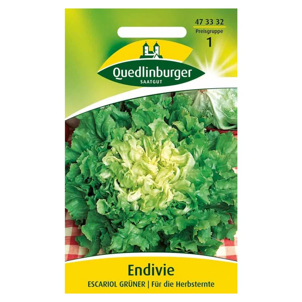 "Endivie Escariol Grüner Zaden - Robuuste Herfstsalade image"
