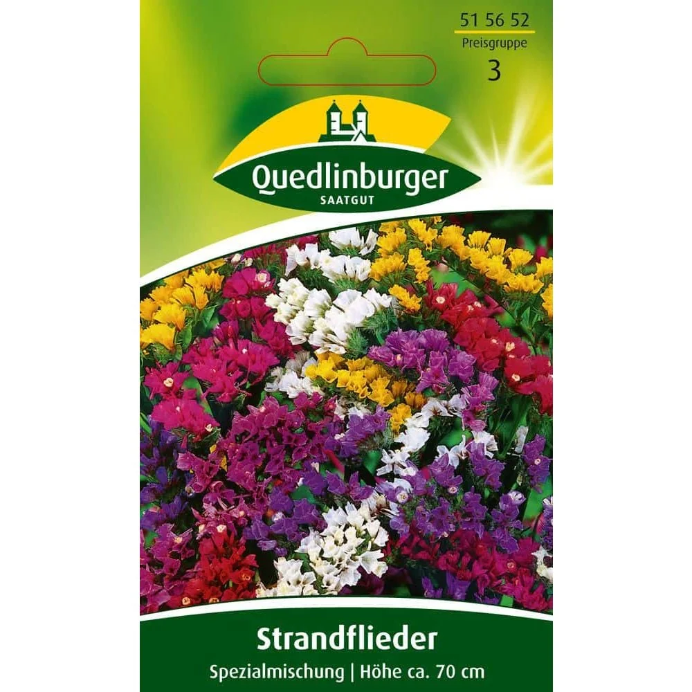 "Strandflieder, Speciale mix image"