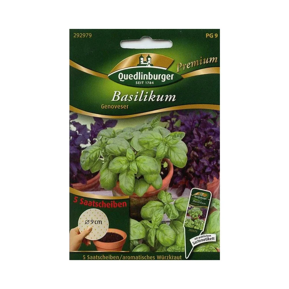 Zaaischijf Basilicum Genoveser: Makkelijk Basilicum Kweken