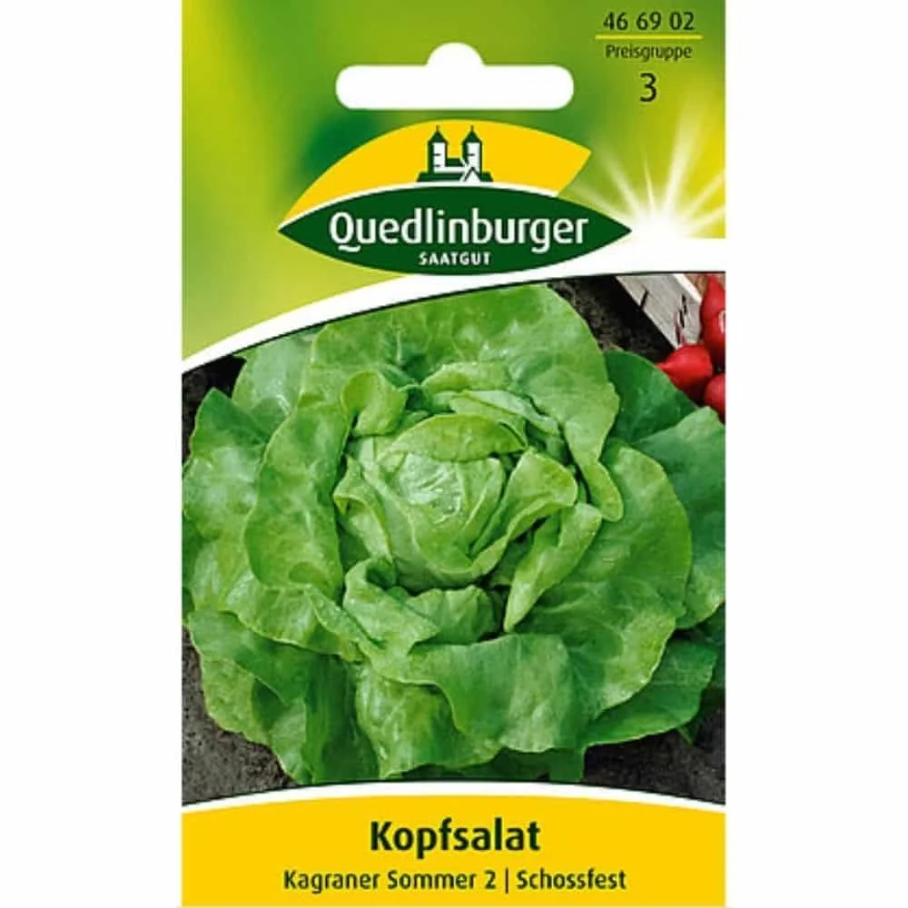 "Kopfsla 'Kagraner Sommer': Vroeg oogsten image"