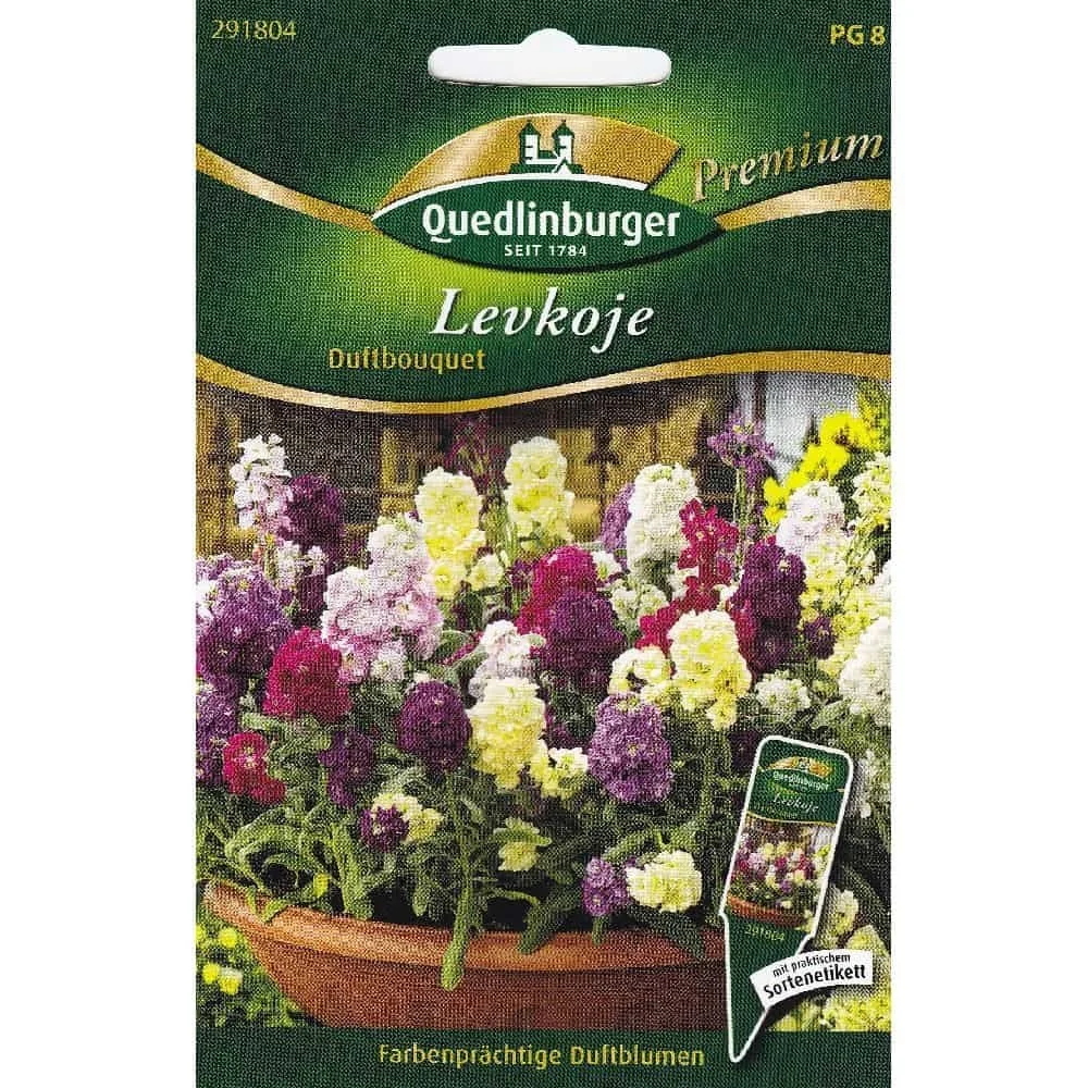 "Levkojen Zaden - Geurende Zomerbloemen voor uw Tuin image"