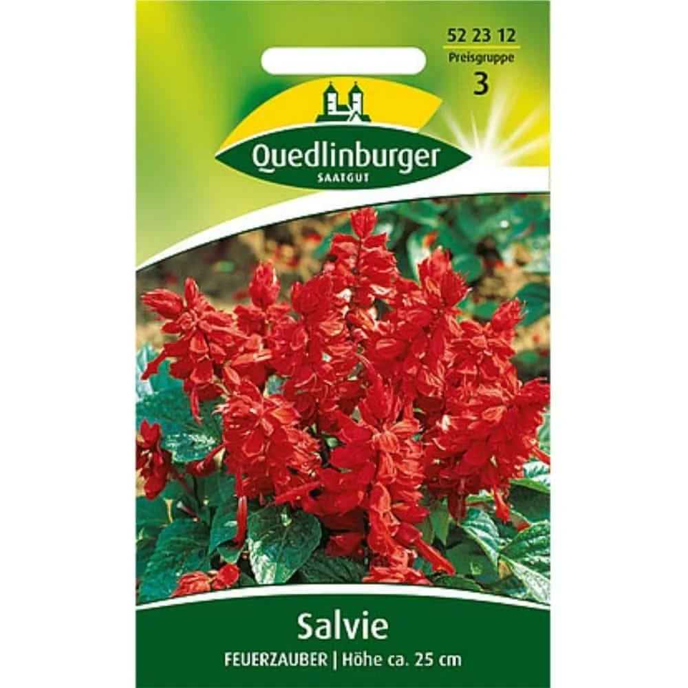 "Salie Feuerzauber - Ziersalie voor Balkon & Tuin image"