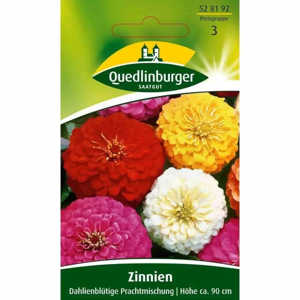 "Zinnie, Dahlienbloemige Prachtmengeling image"