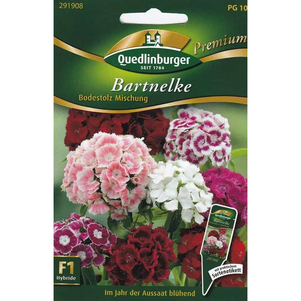 "Bartnelken Bodestolz F1 - Bloemzaden kopen voor een kleurrijke tuin image"