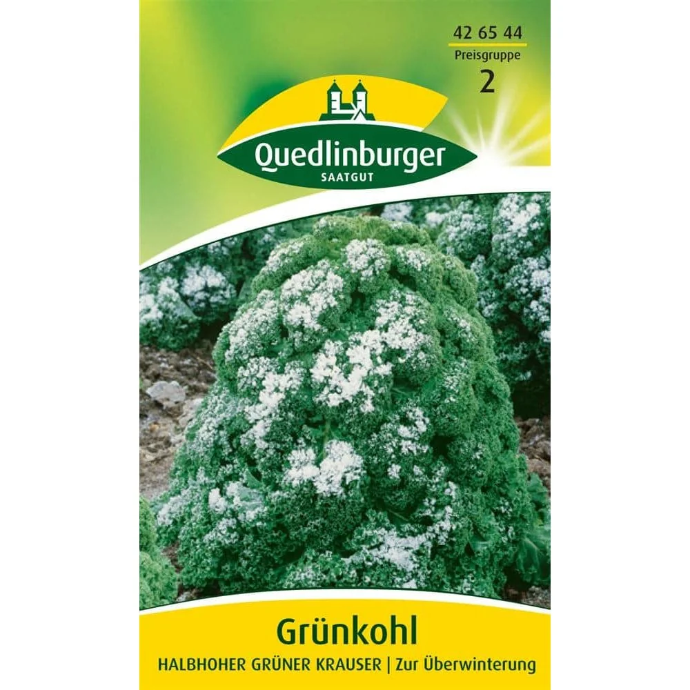 "Boerenkool 'Halbhoher Grüner Krauser' Zaden image"