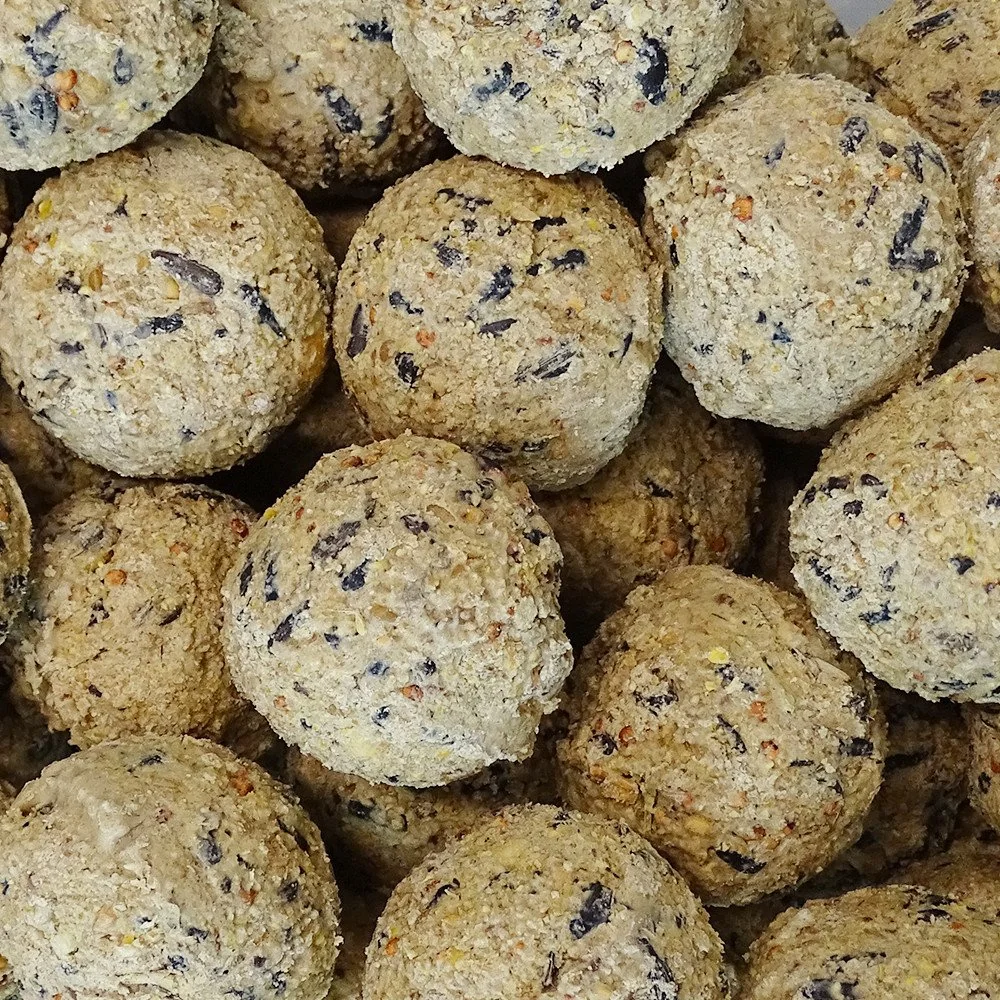 "Mezenbollen zonder net, Vogelvoer 200 x ca.90 g voor vogels image"