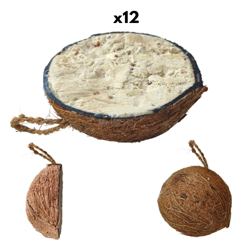 "Vogelvoer Kokosnoot - 12 Halve Kokosnoten met Vogelvoer image"