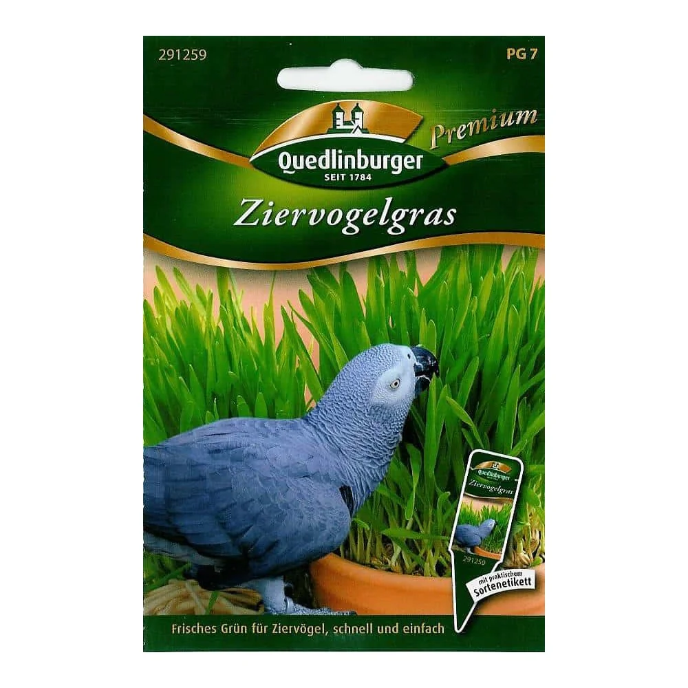 "Vogelgras Zaden - Gezond Vogelvoer Zelf Kweken image"