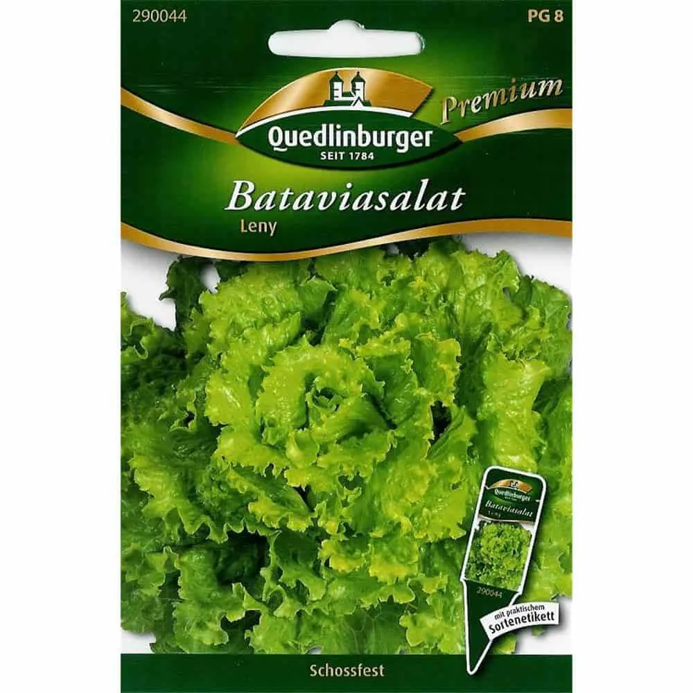 "Bataviasla Leny zaden: resistente en productieve slazaden image"