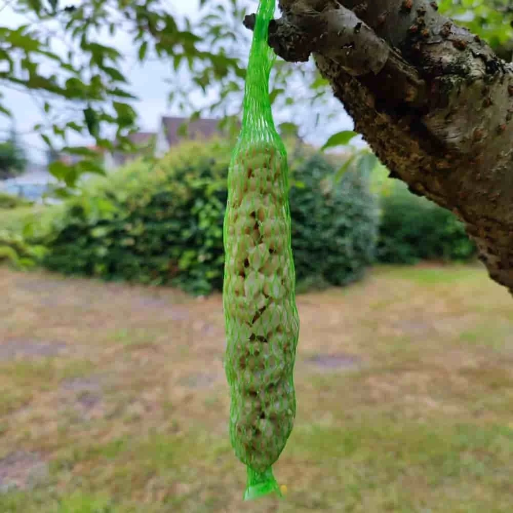 "Pindakaas Stangen 0.18kg voor Vogels - 2 stuks image"
