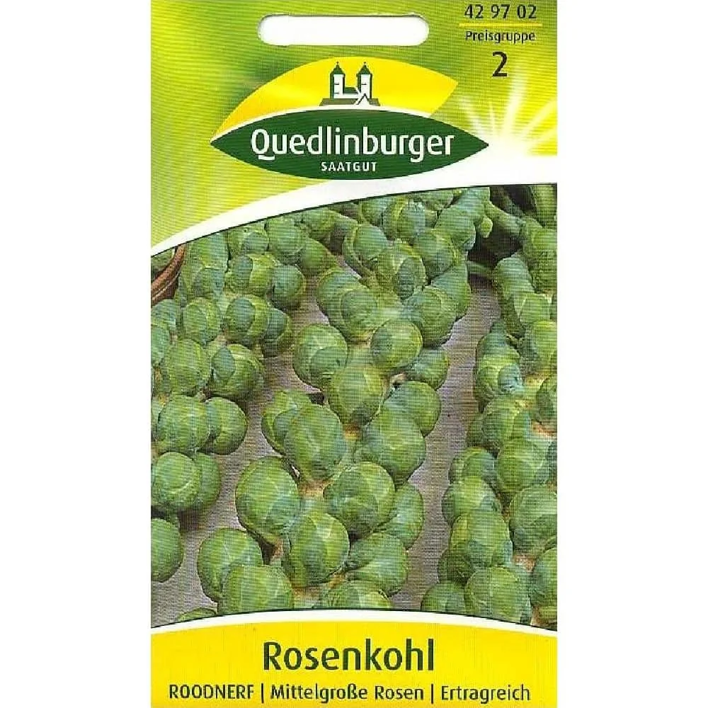 "Roodnerf Rosenkool zaden kopen | Winterharde spruitjes zaaien image"