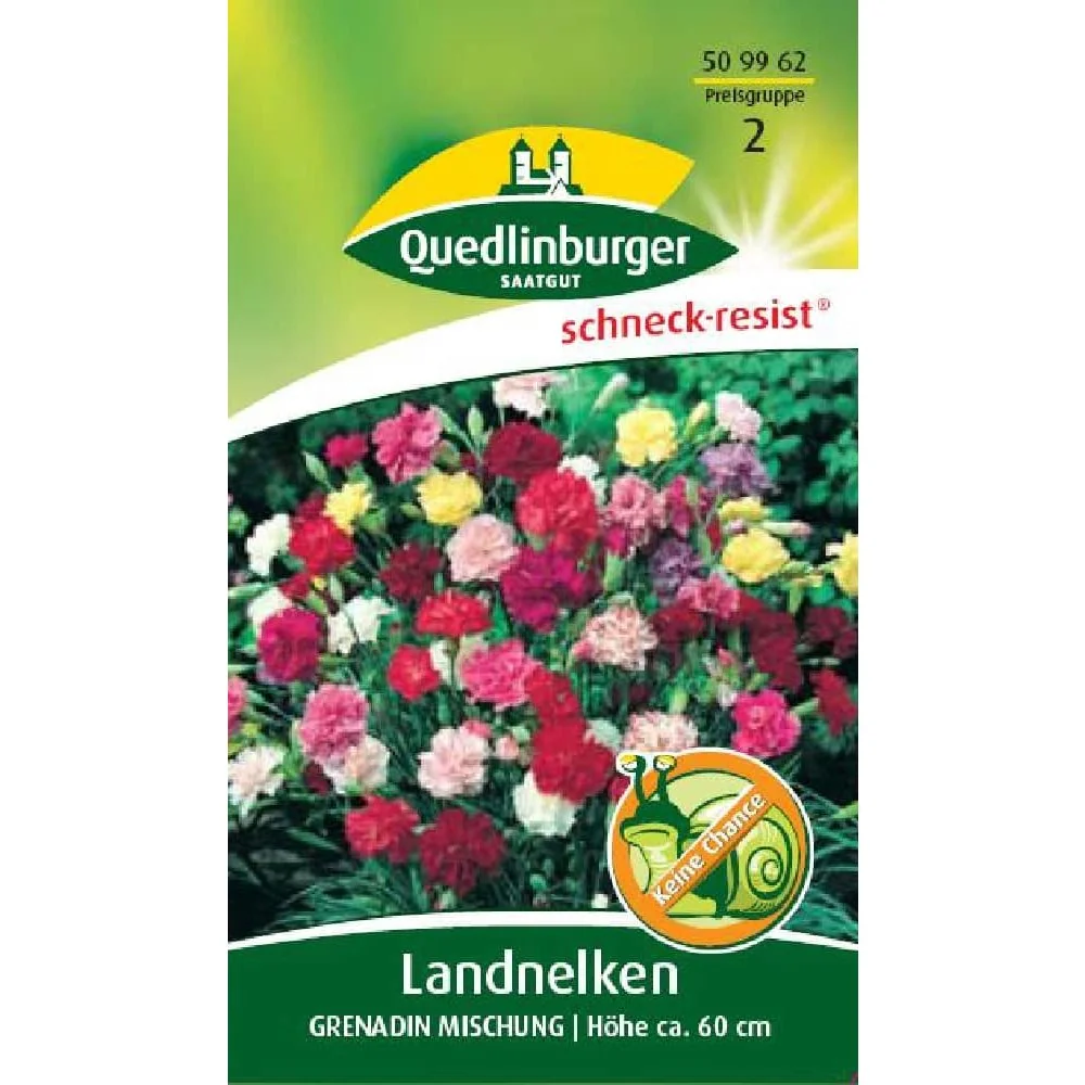 "Landnelken Grenadin Mix, Zaden kopen voor Kleurrijke Tuin image"