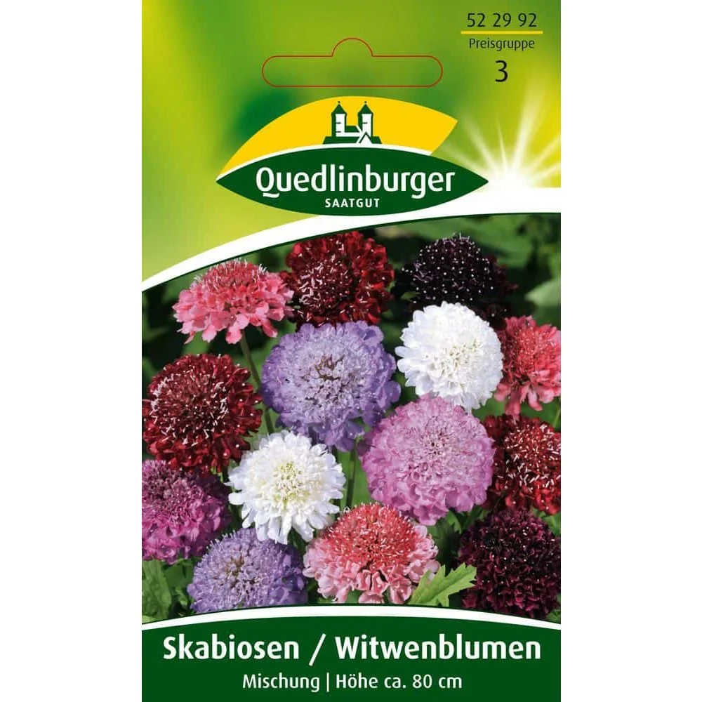"Skabiose Zaden Kopen: Kleurrijke Zomerbloemen voor uw Tuin image"