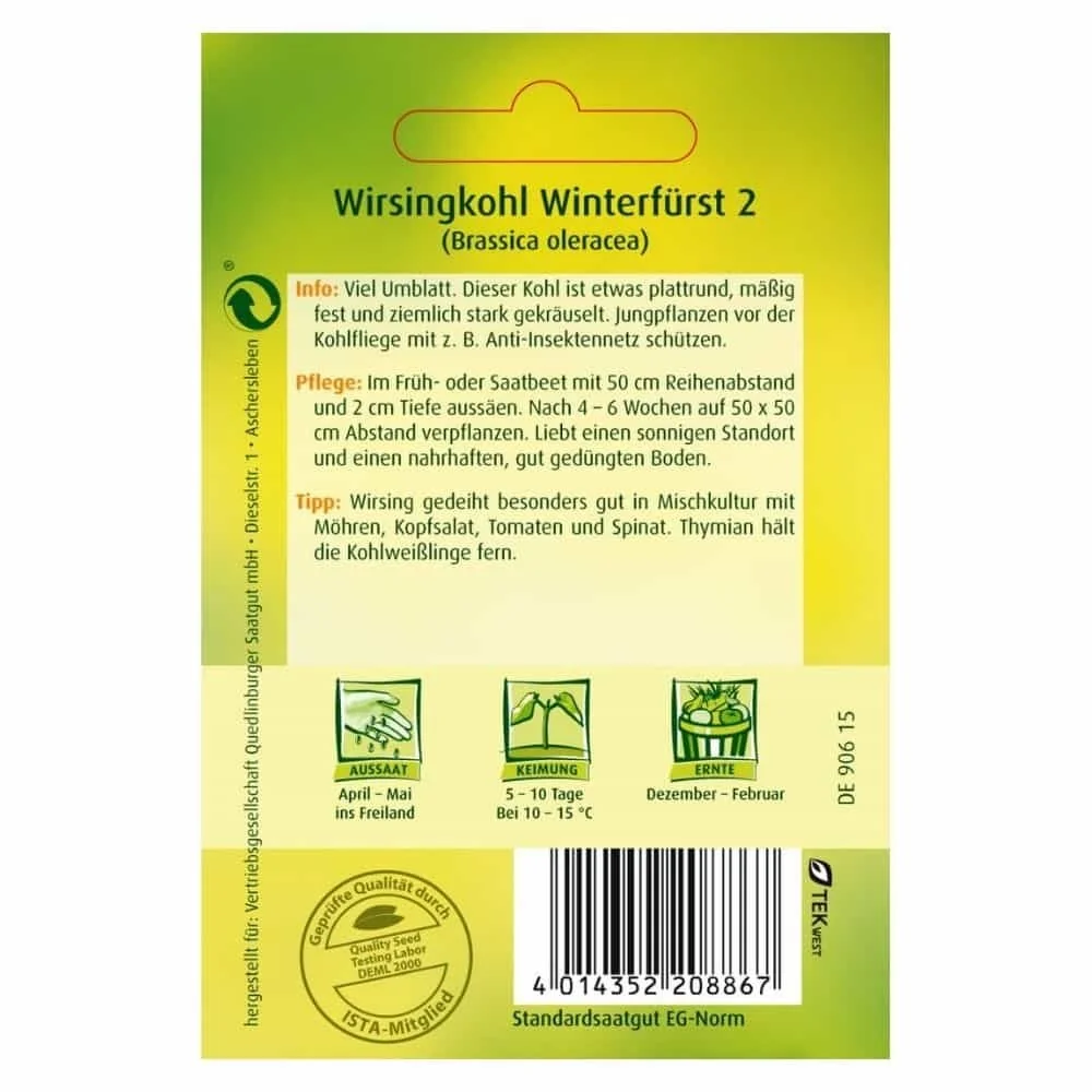 "Wirsingkool Winterfürst 2 Kopen | -Shop.nl image"